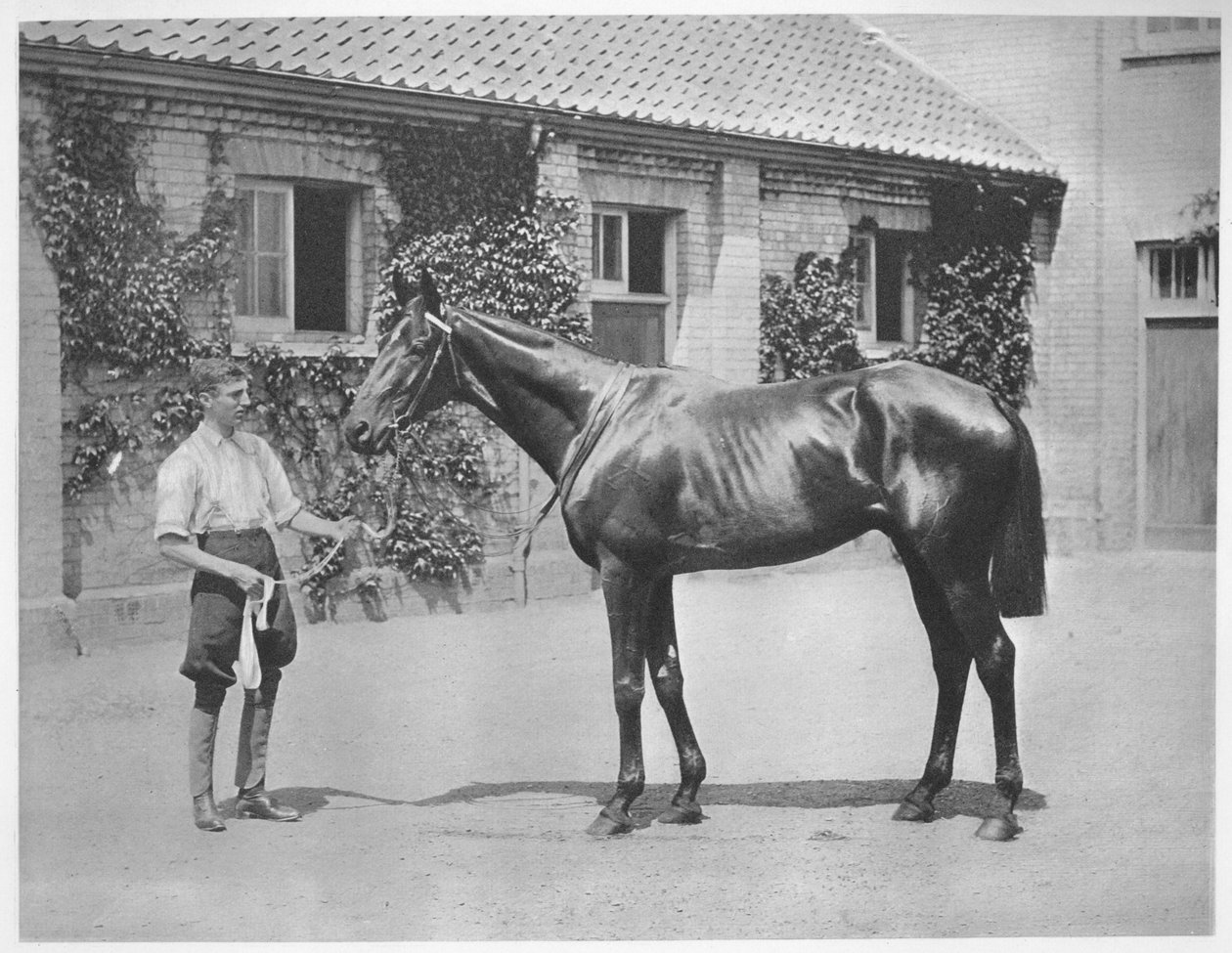 Australian tähti, 1911 tekijältä Unbekannt
