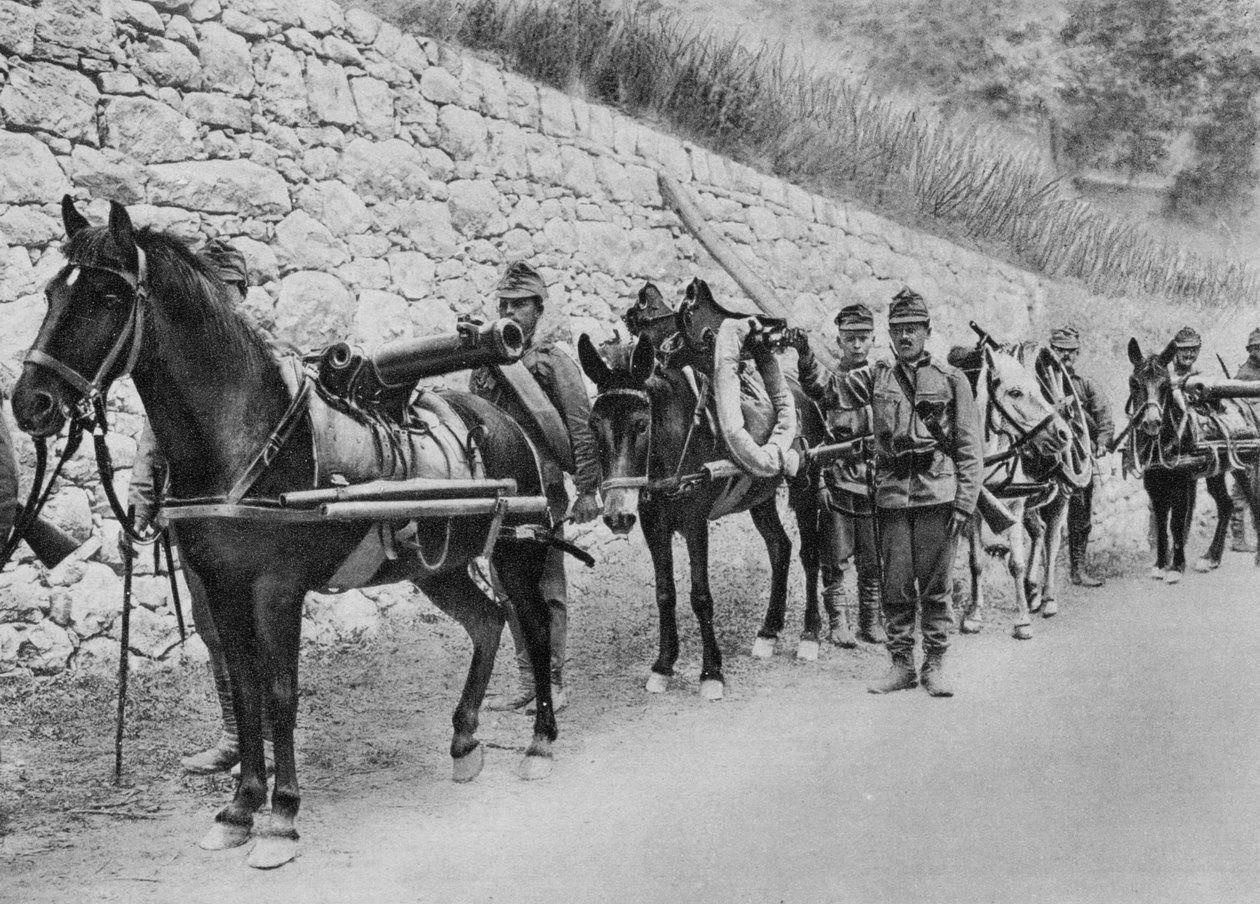 Itävaltalaiset sotilaat, Itävalta-Italian sota, Isonzon taistelu, I maailmansota, 1915 tekijältä Unbekannt
