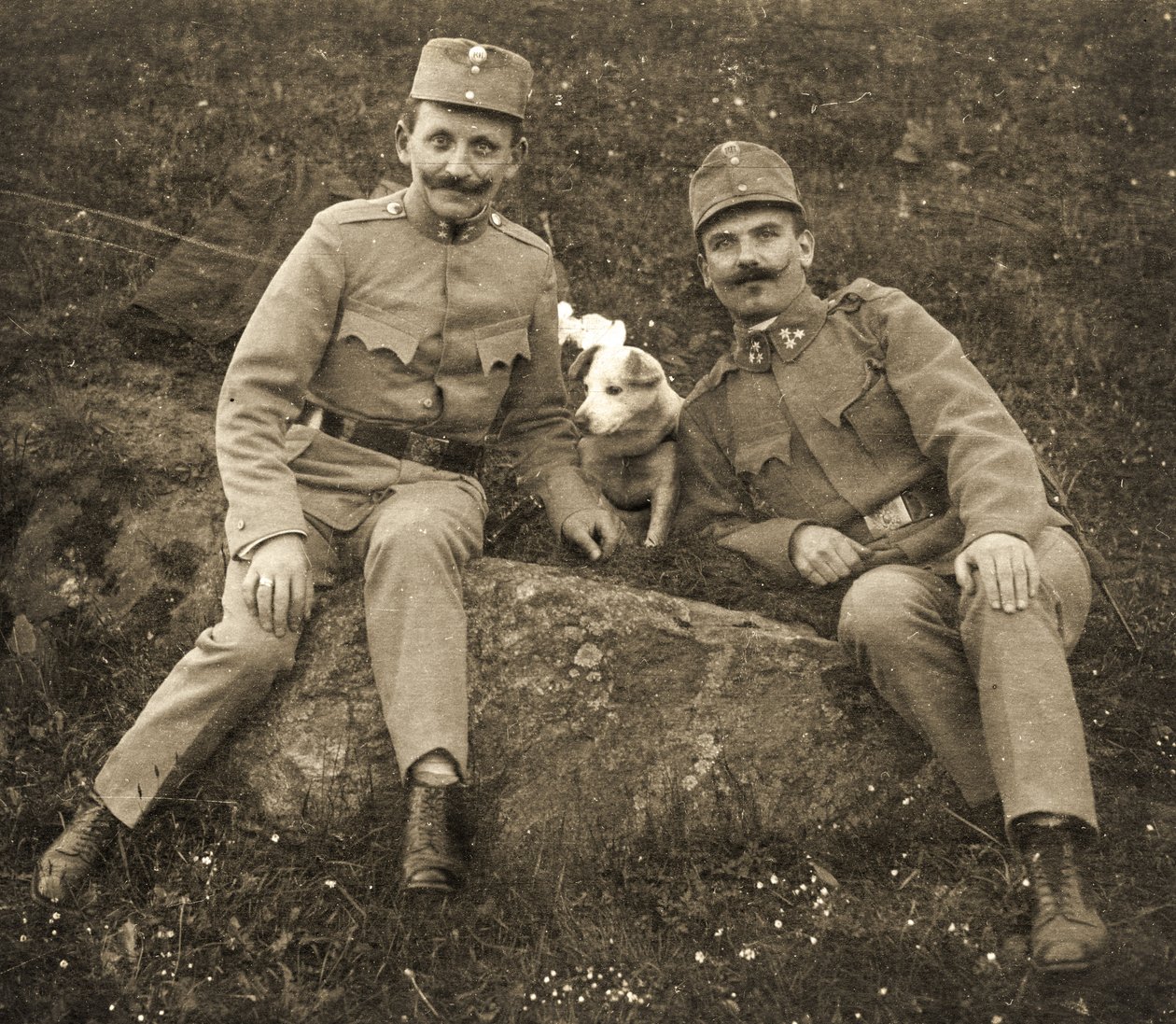 Soldats austríacs amb un dogfinnish tekijältä Unbekannt
