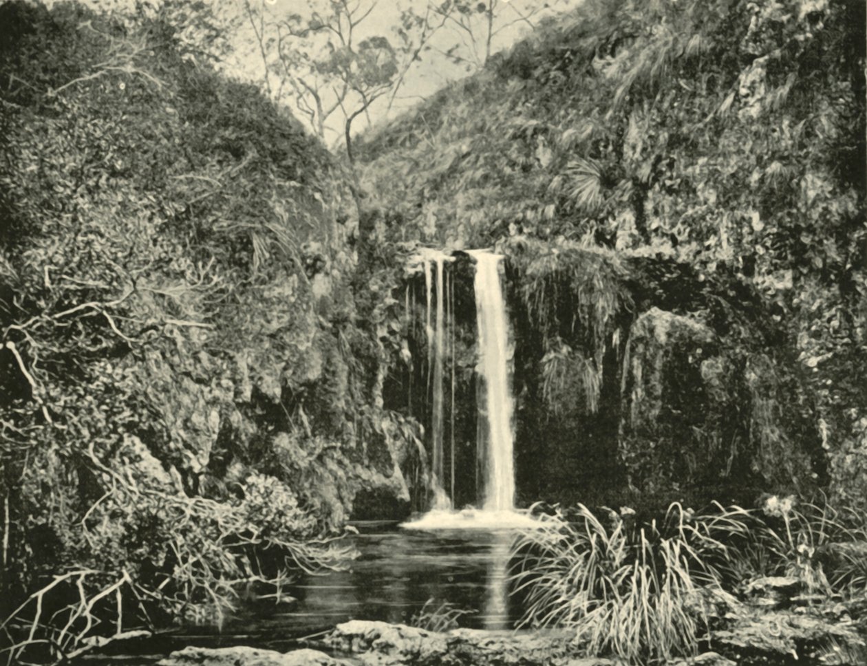 Back Creek Falls, Buchan River, Victoria, 1901. tekijältä Unbekannt
