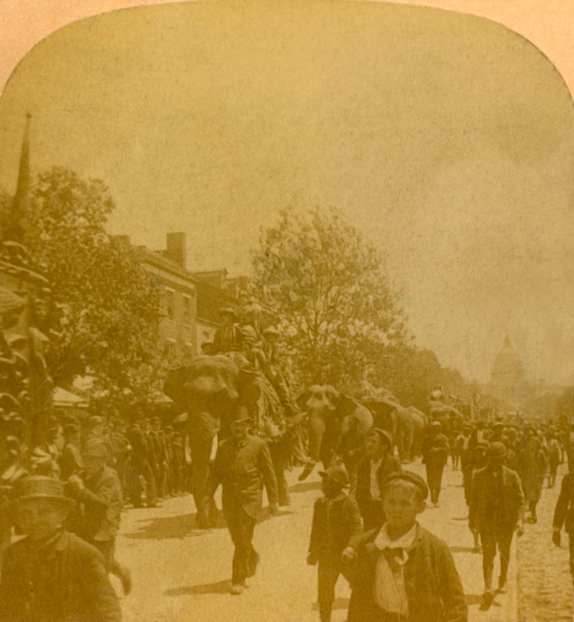 Barnums Parade, Penn. Ave. Washington D.C., 1800-luvun loppu - 1900-luvun alku. tekijältä Unbekannt
