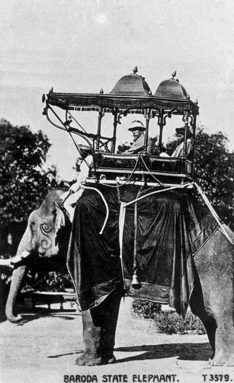 Barodan osavaltionorsu, Intia, 1900-luku tekijältä Unbekannt