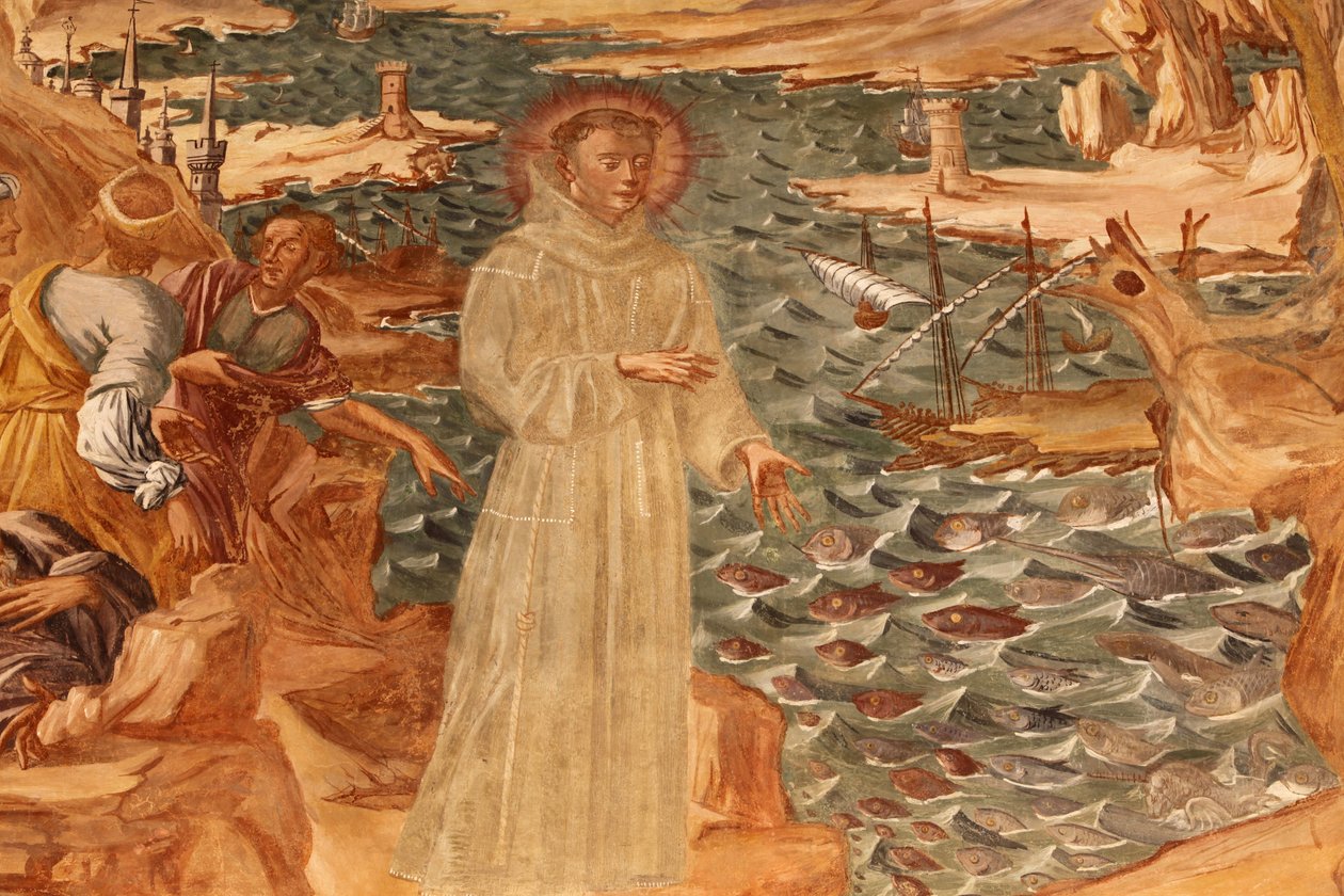 Basilica di Santa Caterina, Galatina, Apulia Fresco luostarissa: Pyhä Antonius saarnaa kalalle. Maalannut BrJoseph of Gravina vuonna 1696, Galatina, Italia tekijältä Unbekannt