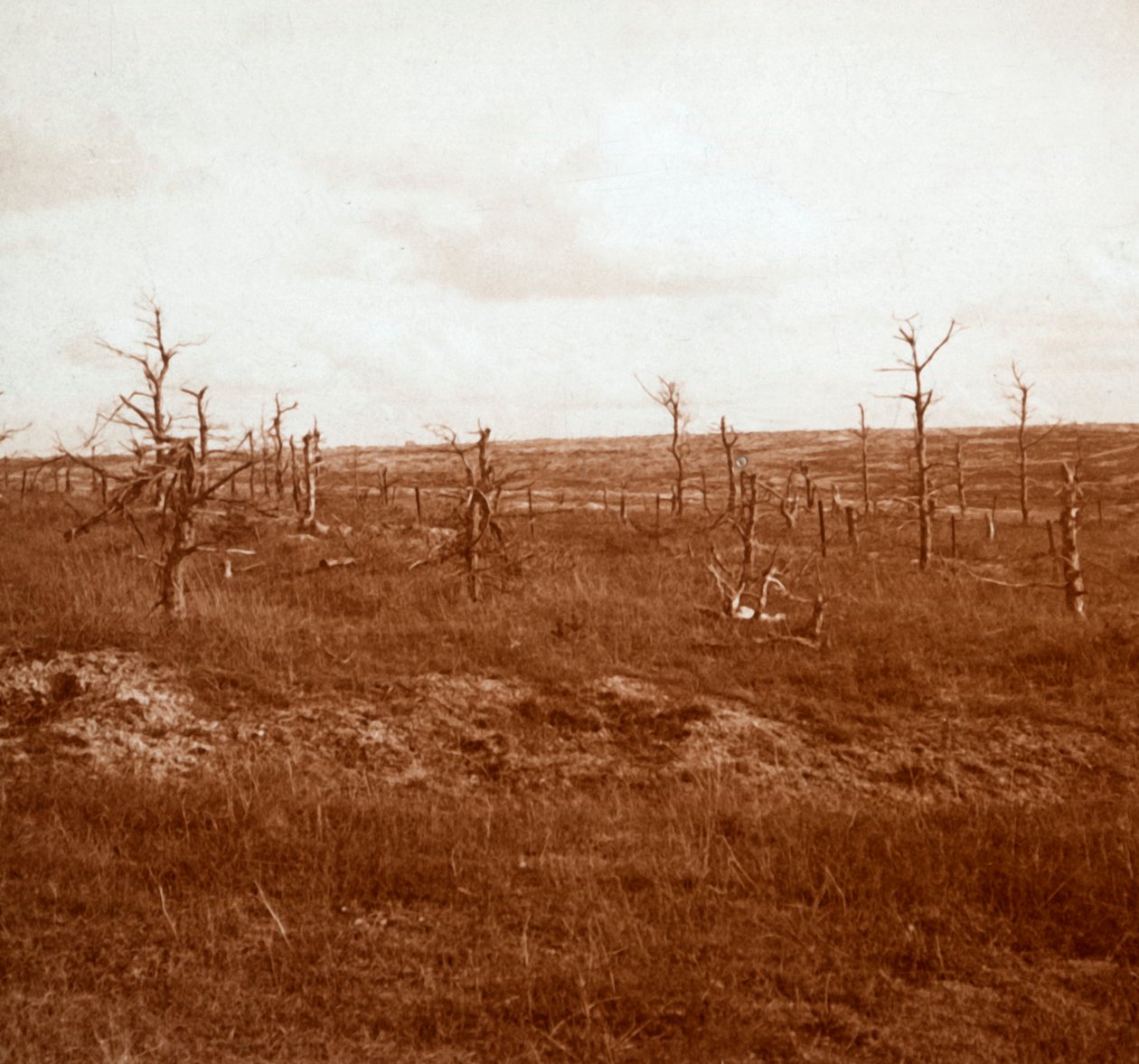 Battlefield, Tahure, Pohjois-Ranska, c1914-c1918 tekijältä Unbekannt