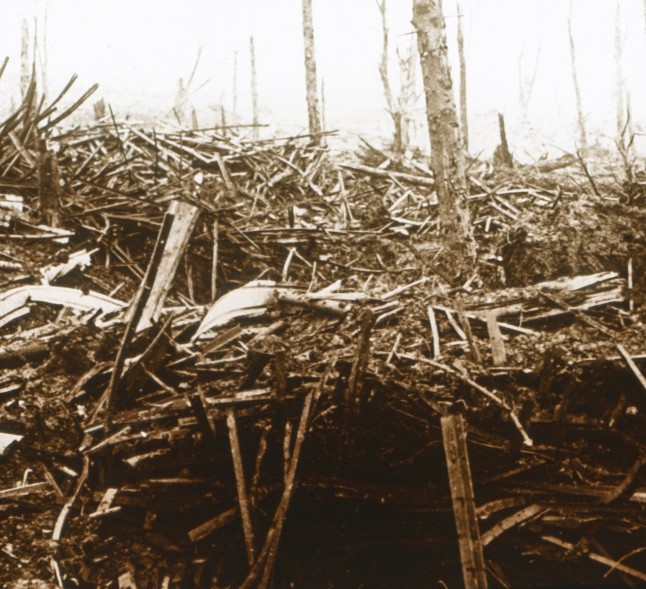 Battlefield, c1914-c1918 tekijältä Unbekannt