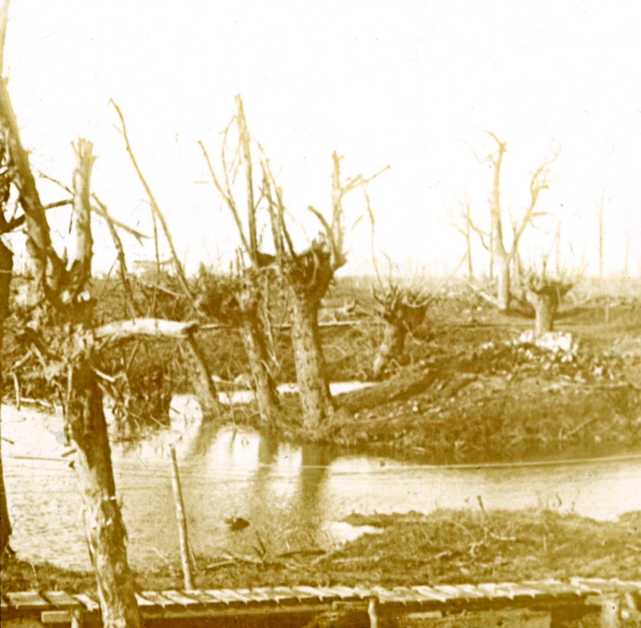 Battlefield, c1914-c1918 tekijältä Unbekannt