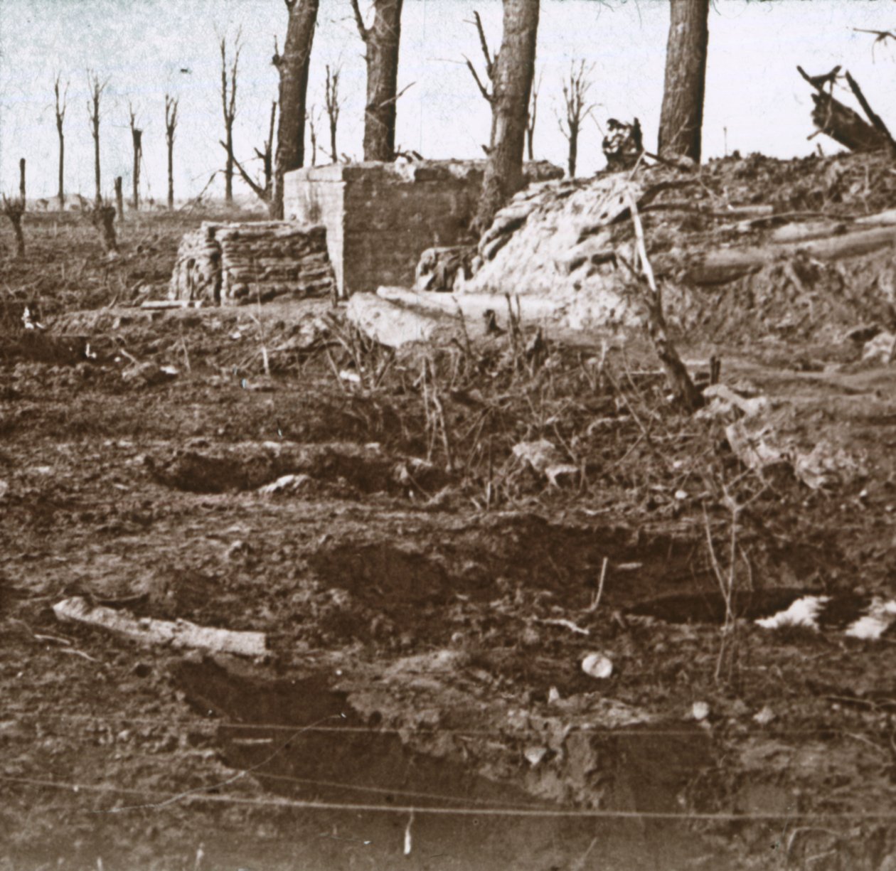 Battlefield, c1914-c1918 tekijältä Unbekannt