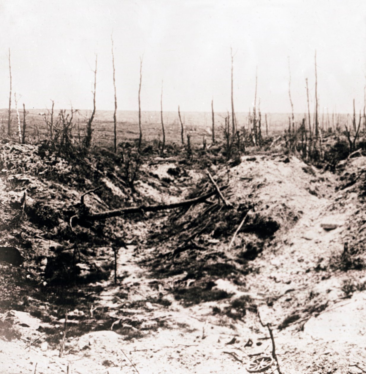 Battlefield, c1914-c1918 tekijältä Unbekannt