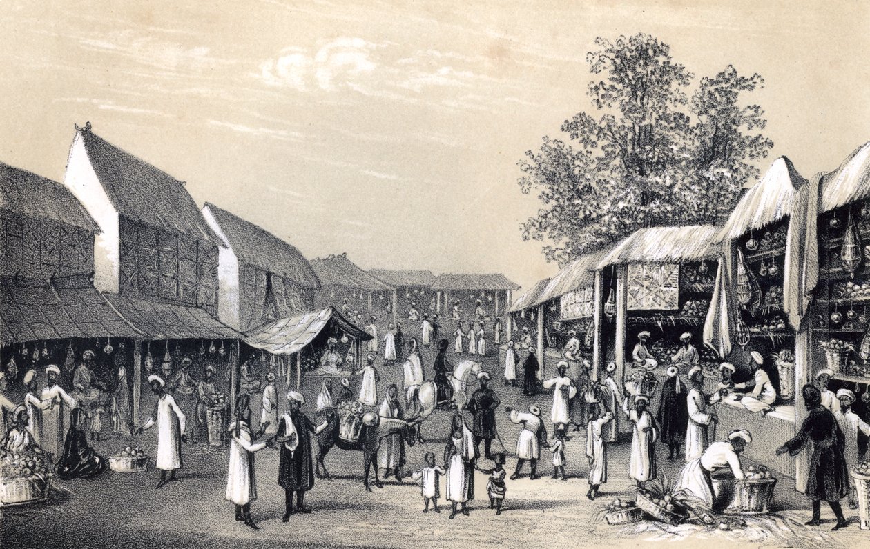 Cabulin basaari hedelmäkaudella 1847 tekijältä Unbekannt