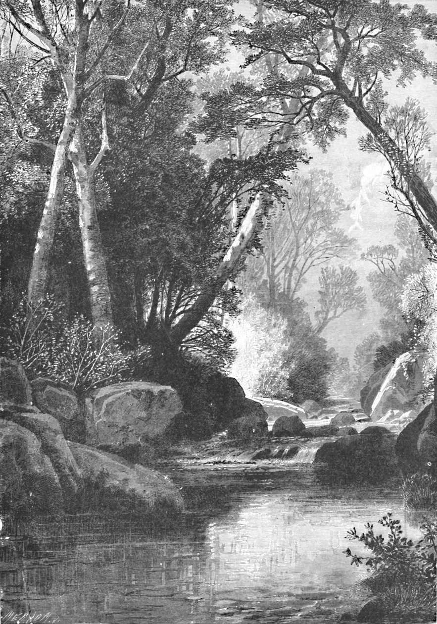Bear River, Near Bethel, Maine, 1883 tekijältä Unbekannt
