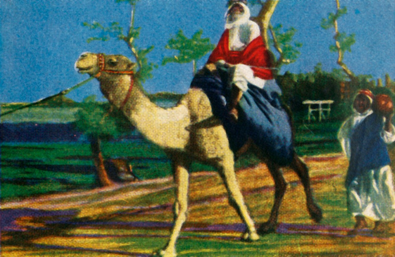 Beduiini ratsastaa kamelilla, Egypti, v1928. tekijältä Unbekannt