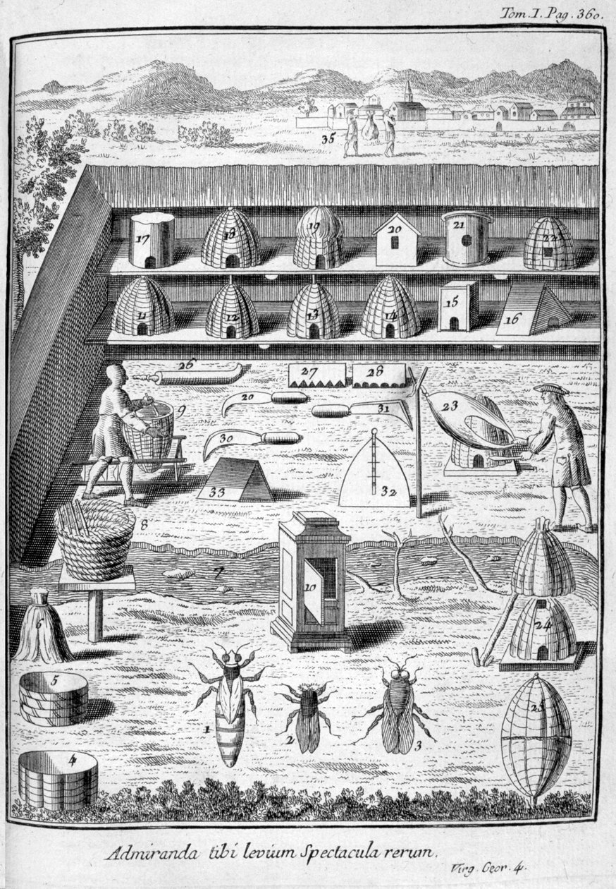 Mehiläishoito, 1775 tekijältä Unbekannt