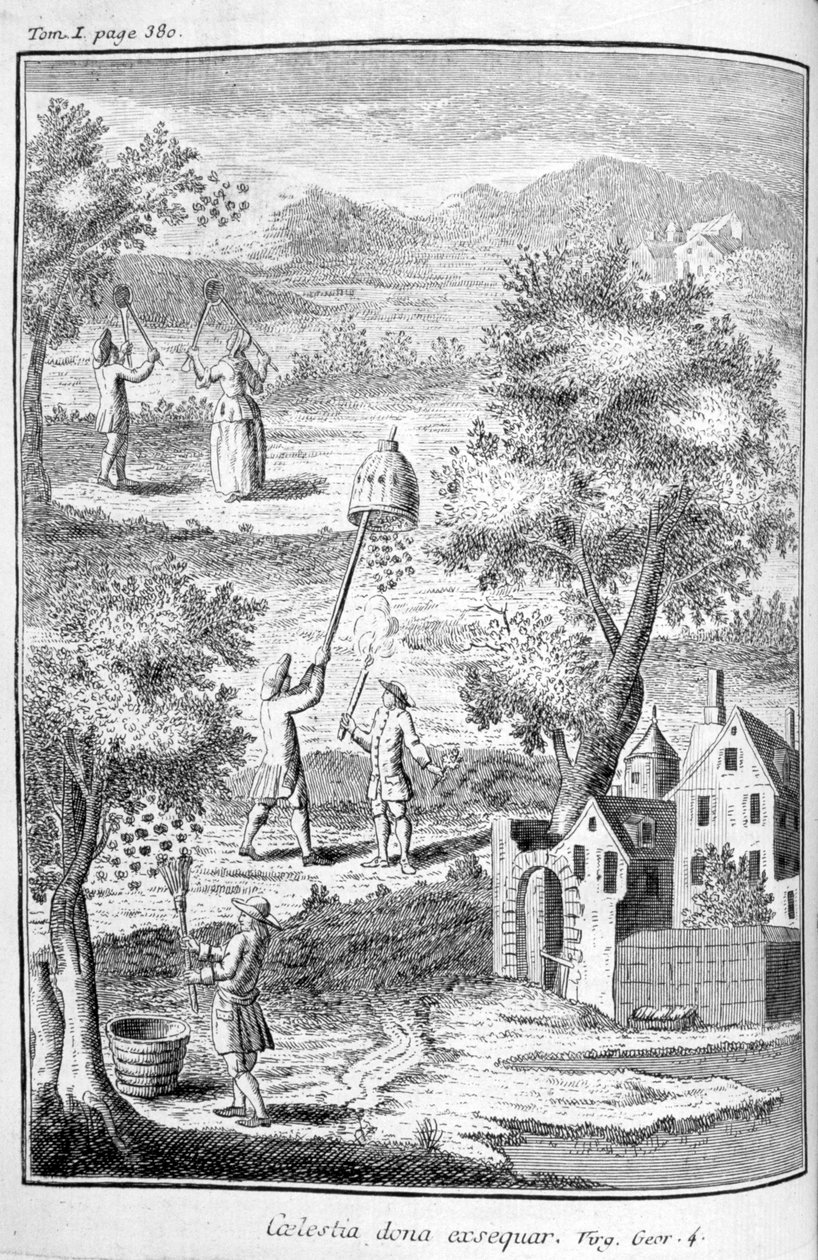 Mehiläishoito, 1775 tekijältä Unbekannt
