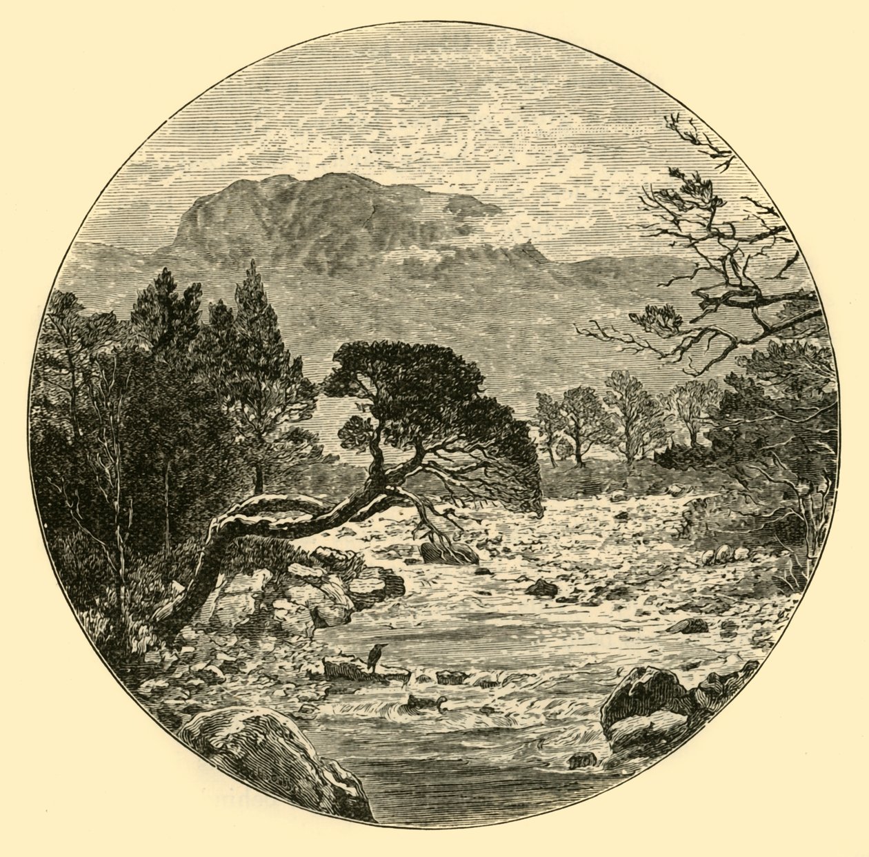 Ben Slioch, 1898. tekijältä Unbekannt