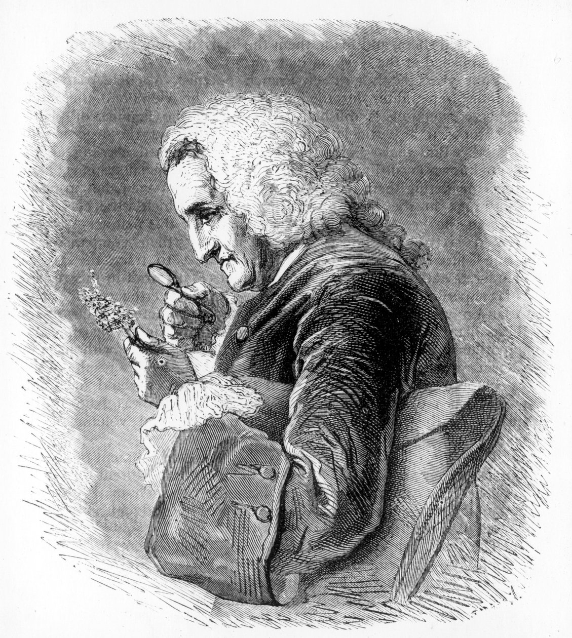 Bernard de Jussieu, 1700-luvun ranskalainen kasvitieteilijä, 1880 tekijältä Unbekannt