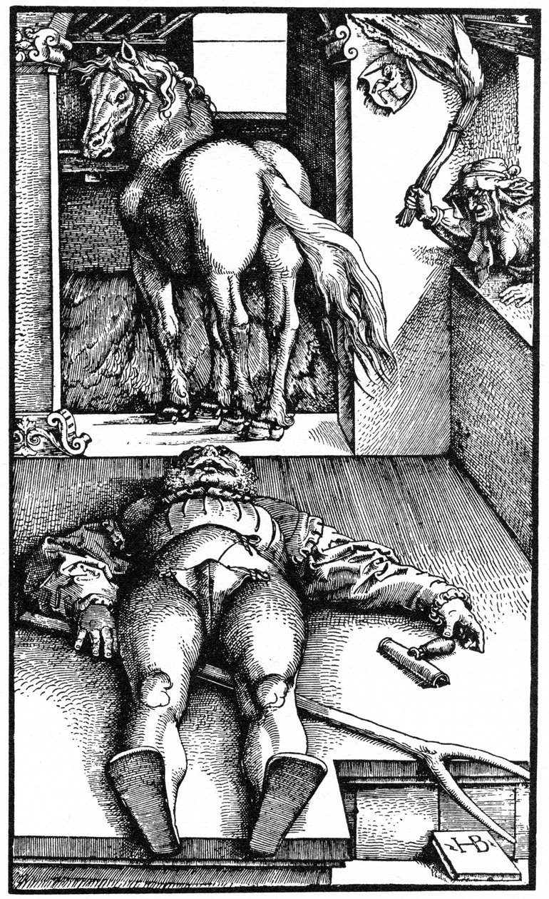 Lumottu sulhanen Nukkuva sulhanen ja velho, 1544 1964. tekijältä Unbekannt