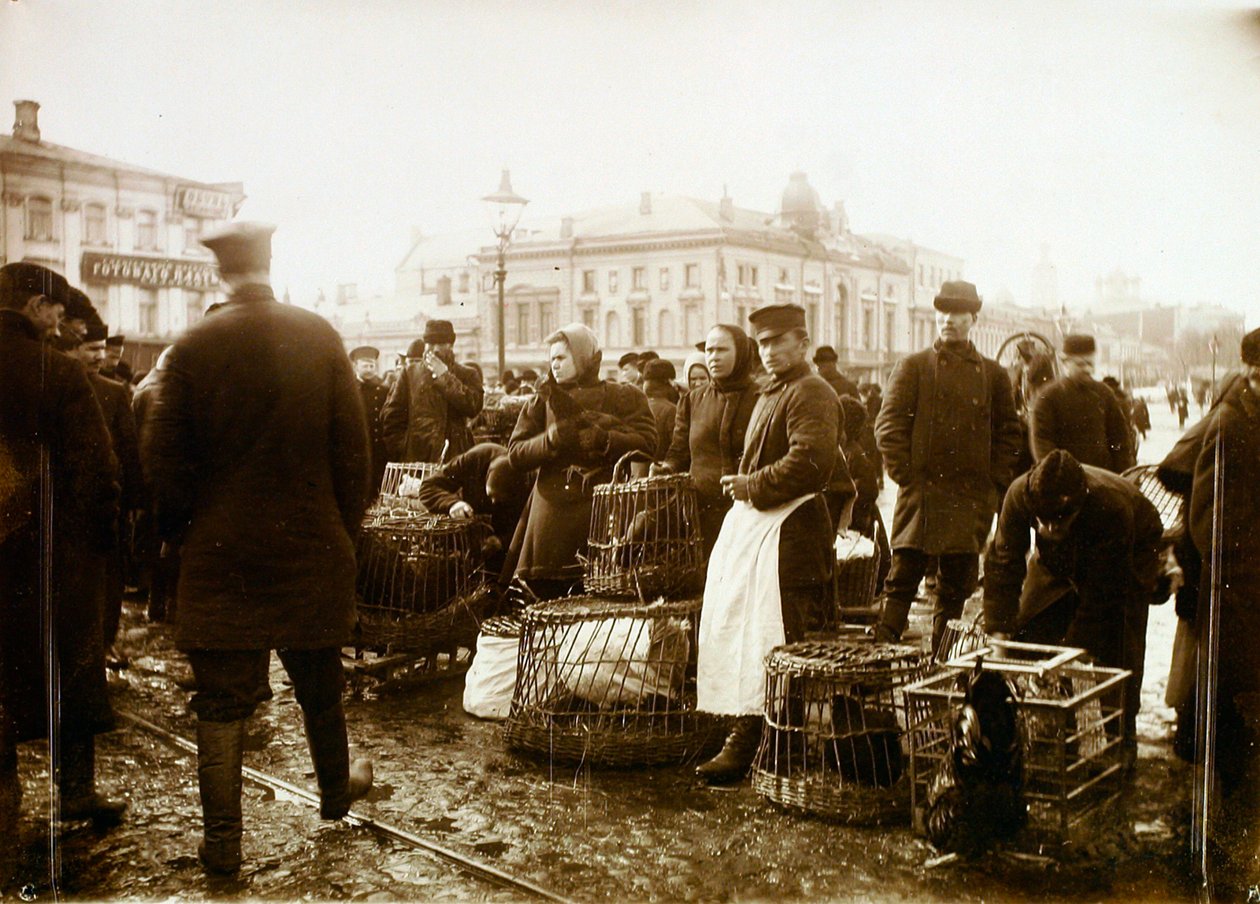 Lintutori, Trubnaja-aukio, Moskova, Venäjä, 1908 tekijältä Unbekannt