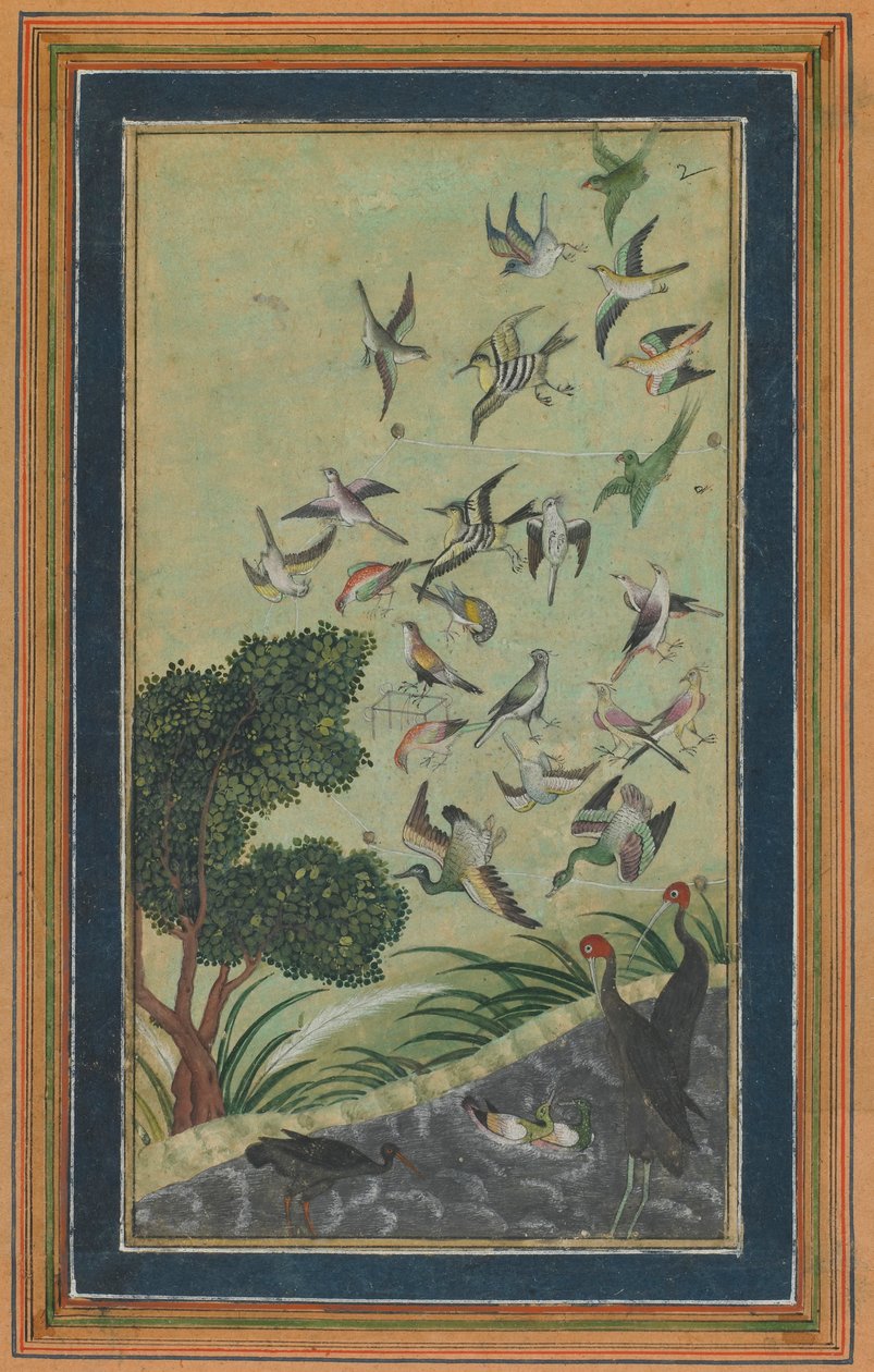 Linnut Baranissa, mahdollisesti Babur-namasta, 1500-luvun lopulla. tekijältä Unbekannt