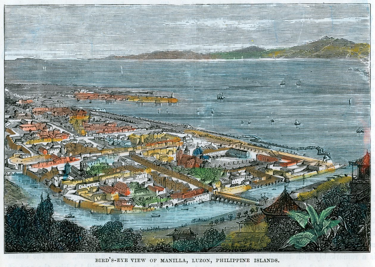 Lintuperspektiivi Manillasta, Luzonista, Filippiinien saarista, c1880 tekijältä Unbekannt