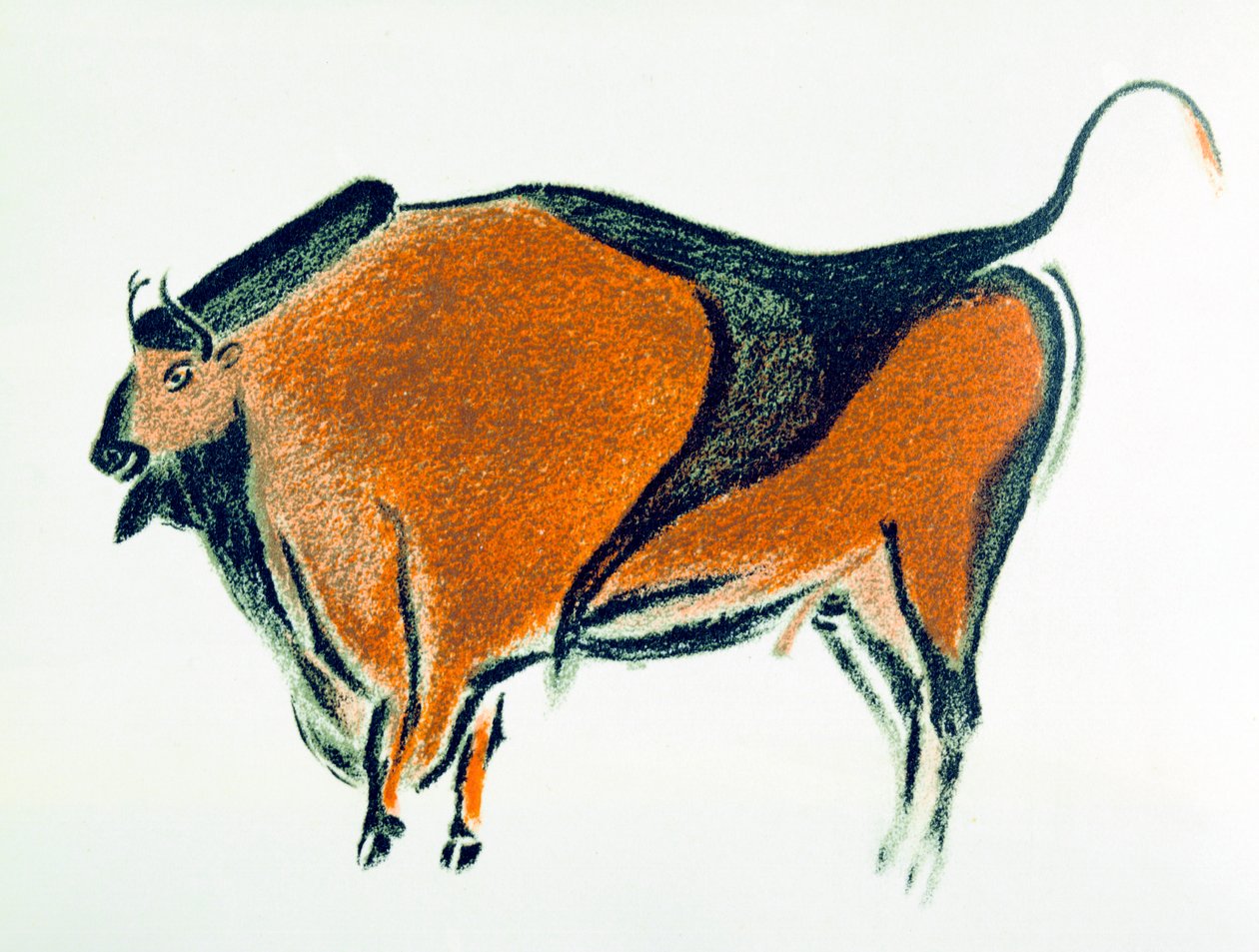 Bison, kopio paleoliittisesta luolamaalauksesta Altamirassa, Pohjois-Espanjassa, 1913 tekijältä Unbekannt