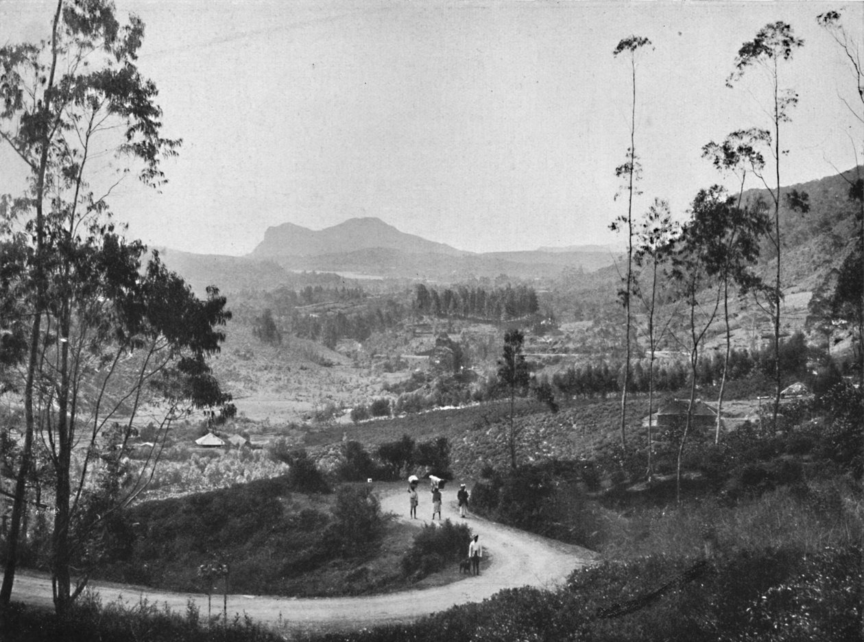 Näkymä Rambodan solalta kaakkoon kohti Nuwara Eliyaa ja Hakgalla Rockia, 1926 tekijältä Unbekannt