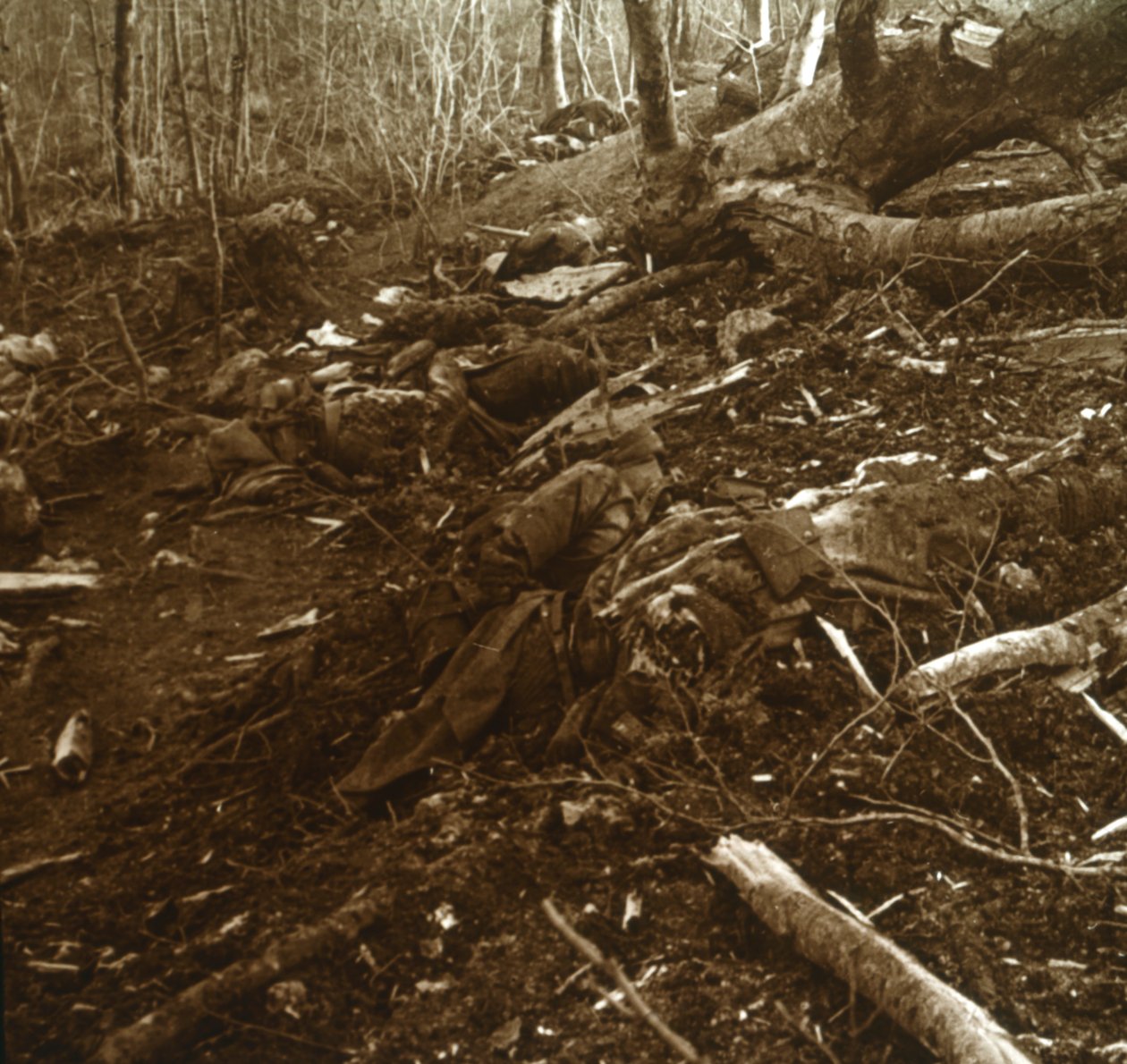 Bodies, Les Éparges, Pohjois-Ranska, 1915. tekijältä Unbekannt