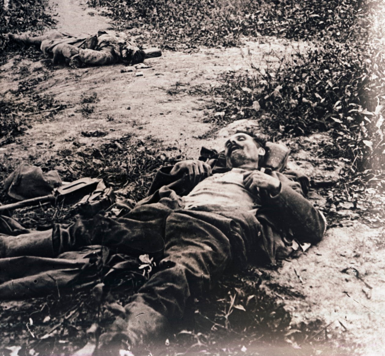 Kuolleiden sotilaiden ruumiit, c1914-c1918 tekijältä Unbekannt