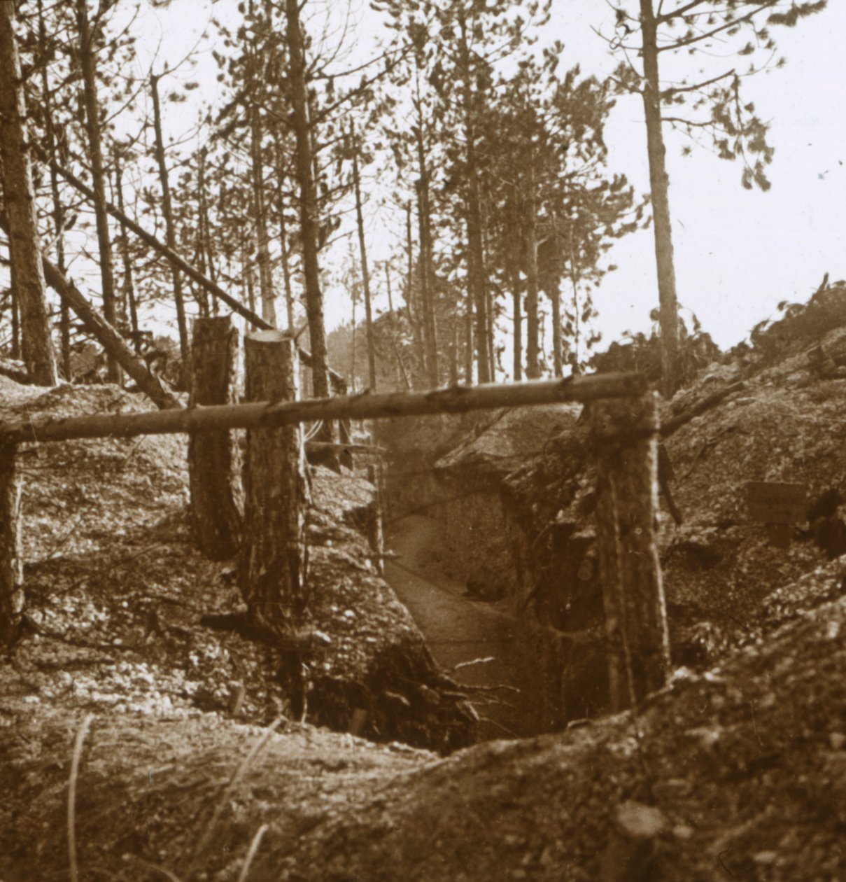 Bois-le-Prêtre, Pohjois-Ranska, c1914-c1915 tekijältä Unbekannt