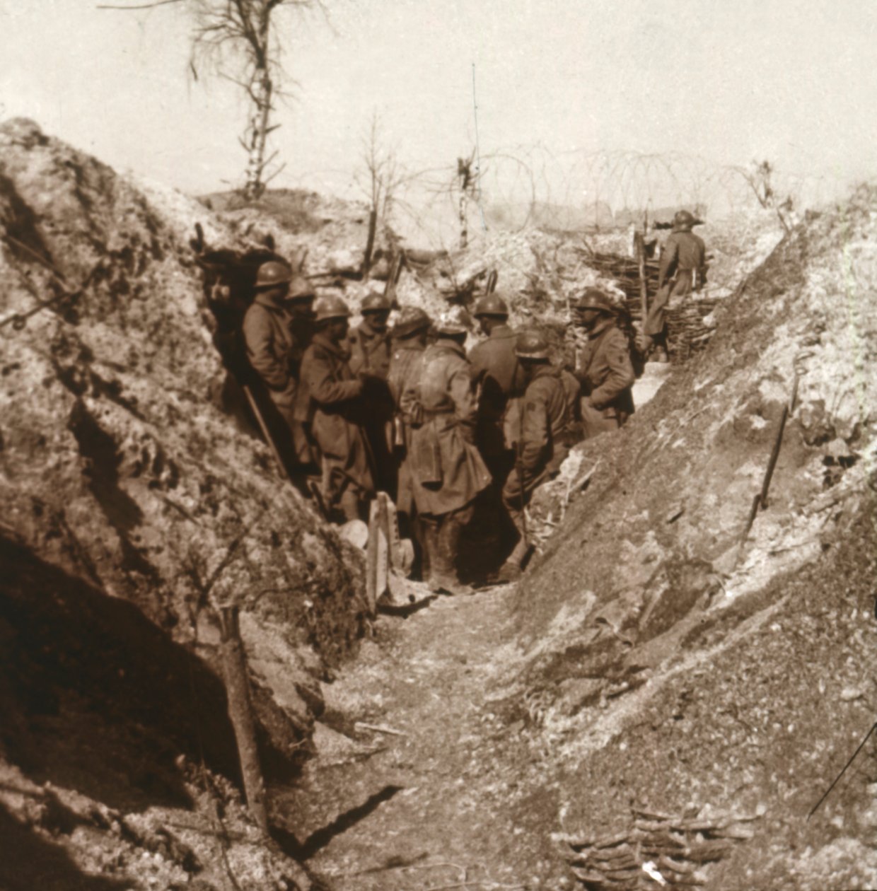 Bois de la Grille ennen hyökkäystä, Pohjois-Ranska, c1914-c1918 tekijältä Unbekannt