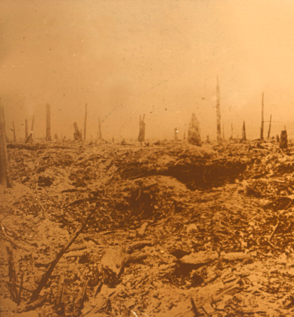 Bois du Chapitre, Vaux, Pohjois-Ranska, c1914-c1918 tekijältä Unbekannt