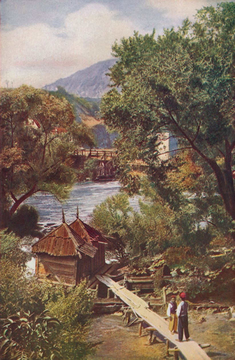 Bosnia..., vuosi 1920 tekijältä Unbekannt