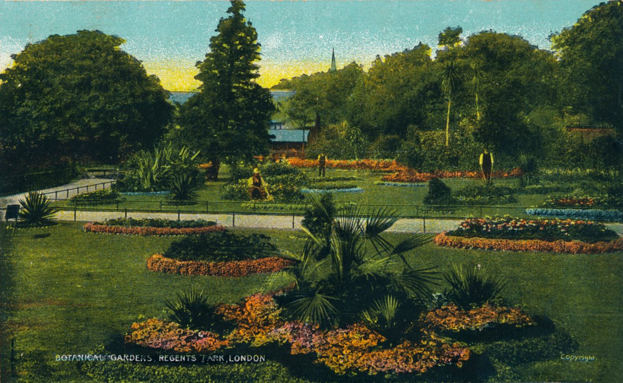 Kasvitieteellinen puutarha, Regents Park, Lontoo, vuonna 1910 tekijältä Unbekannt