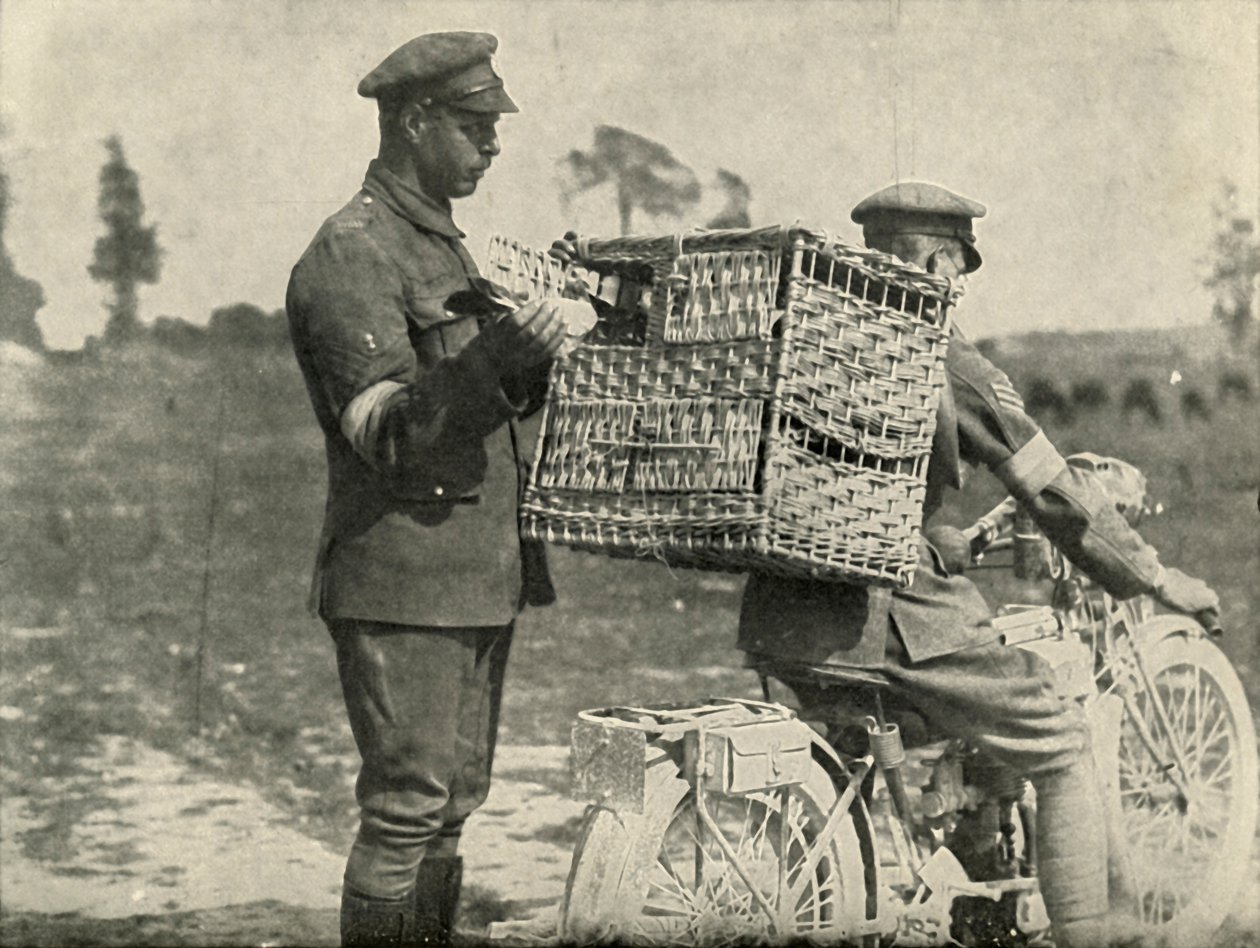 Brittiarmeijan kantokyyhkyset Ranskassa, 1919. tekijältä Unbekannt