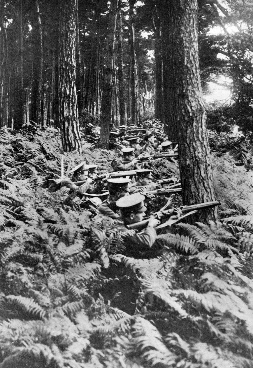 Brittijalkaväki metsässä, ensimmäinen maailmansota, 1914-1918, c1920 tekijältä Unbekannt