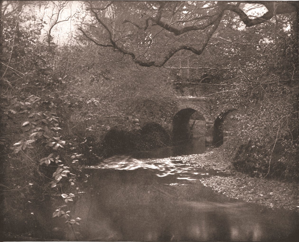 Brook ja silta New Forestissa, Hampshiressa, 1894. tekijältä Unbekannt