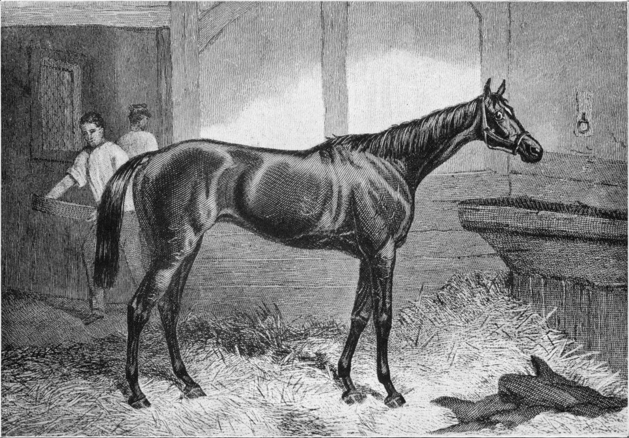 Ruskea herttuatar, 1800-luku, 1911 tekijältä Unbekannt