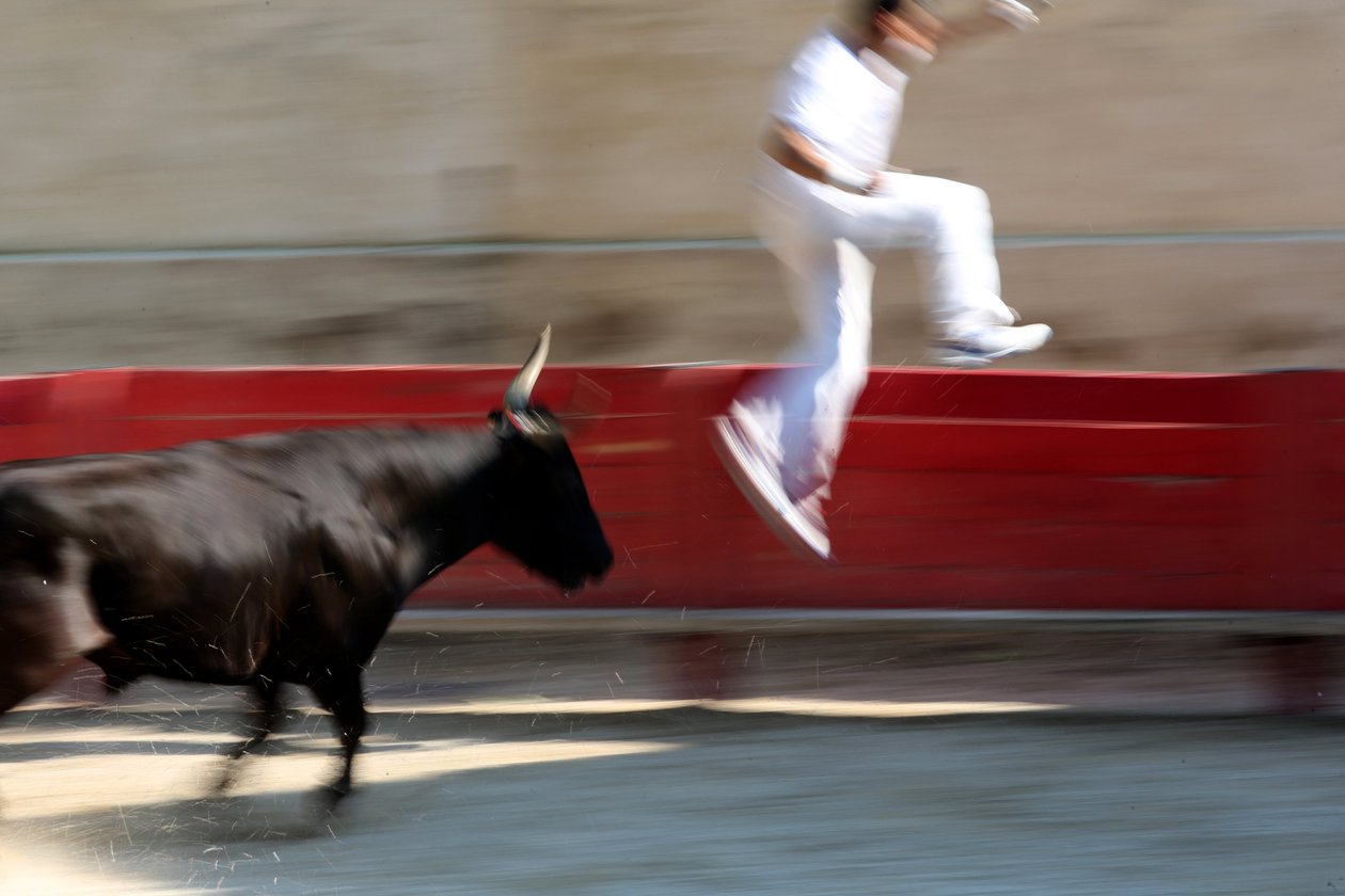 Härkätaistelut (Course camarguaise). Veretön spektaakkeli (sonnille), jossa tavoitteena on napata ruusuke härän päästä, Vallabregues, Ranska tekijältä Unbekannt