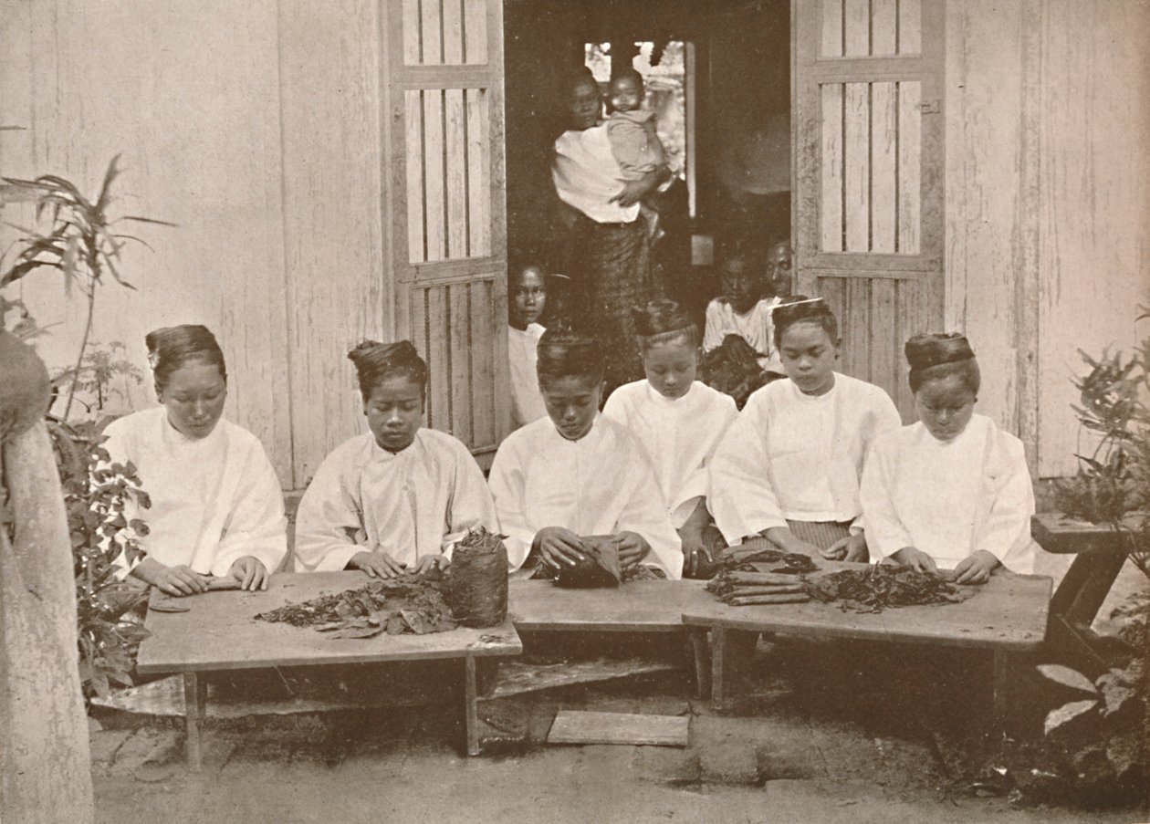 Burman sikarinvalmistajat, 1900. tekijältä Unbekannt
