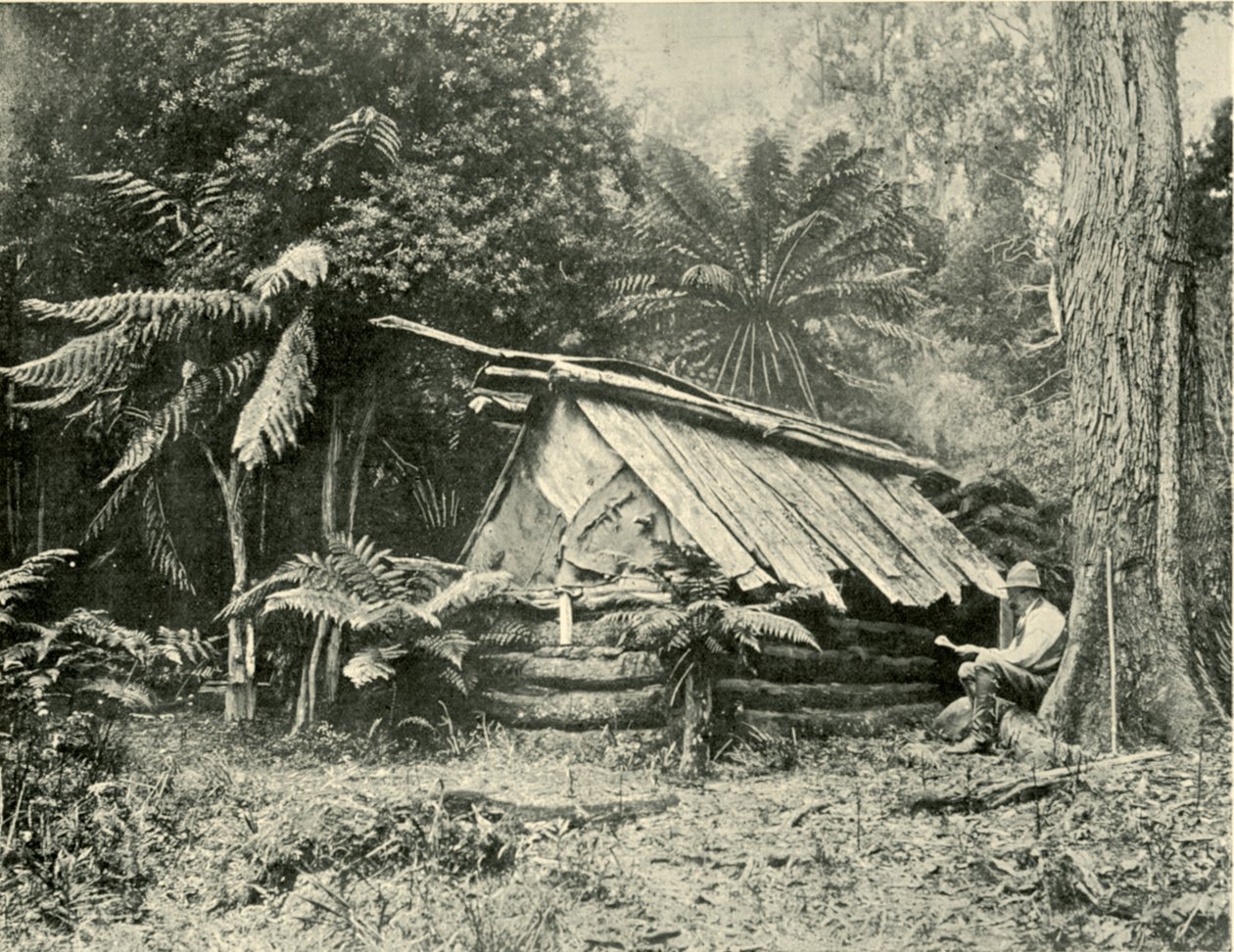 Bush Hut, Dandenong Ranges, Victoria, 1901. tekijältä Unbekannt