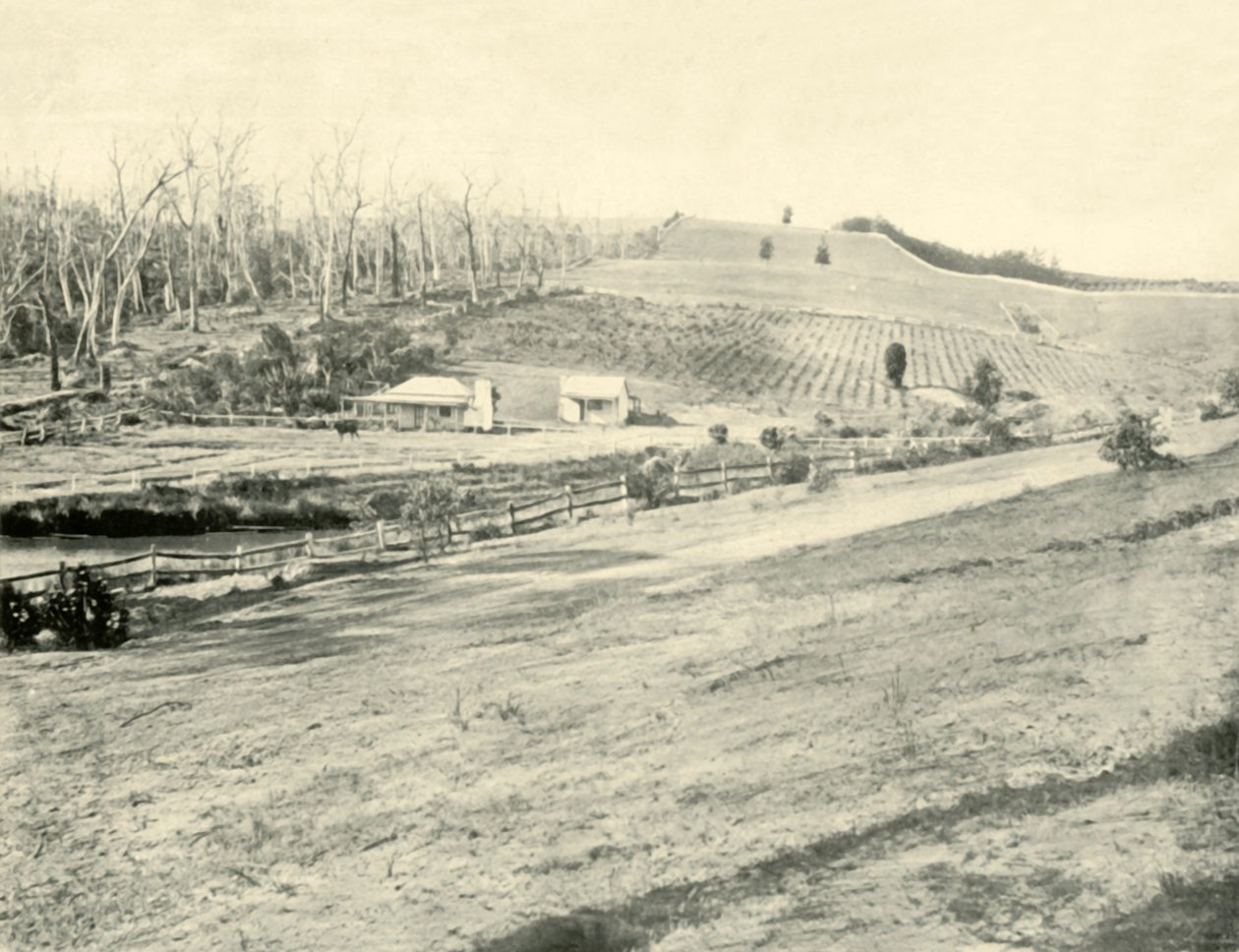 Bush Workmans Home, Gippsland, Victoria, 1901. tekijältä Unbekannt