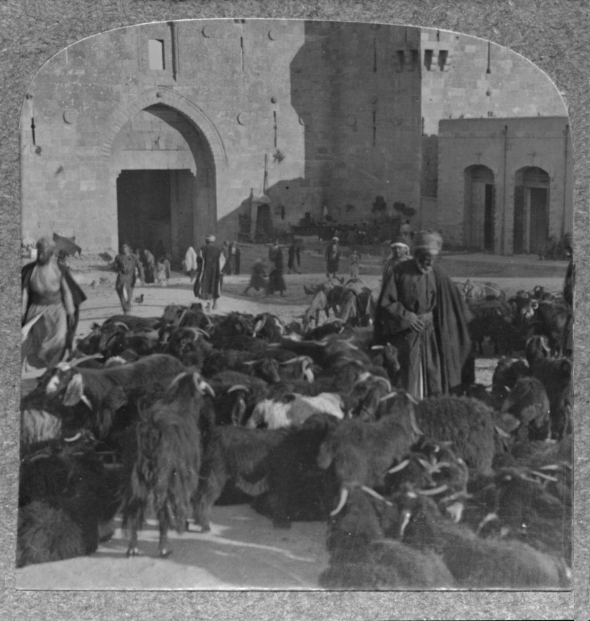 Vuohien ostaminen Damaskuksen portilta, Jerusalem, c1900 tekijältä Unbekannt