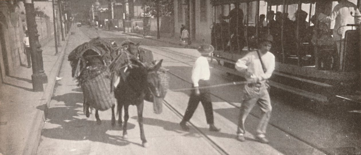 Raitiovaunulla ja muulilla, 1914 tekijältä Unbekannt