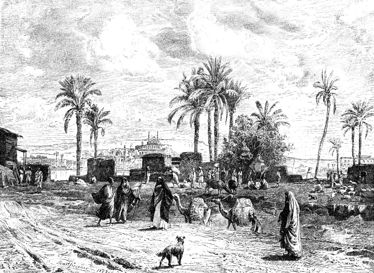 Kairo nähtynä Niilin vasemmalla rannalla, 1881 tekijältä Unbekannt