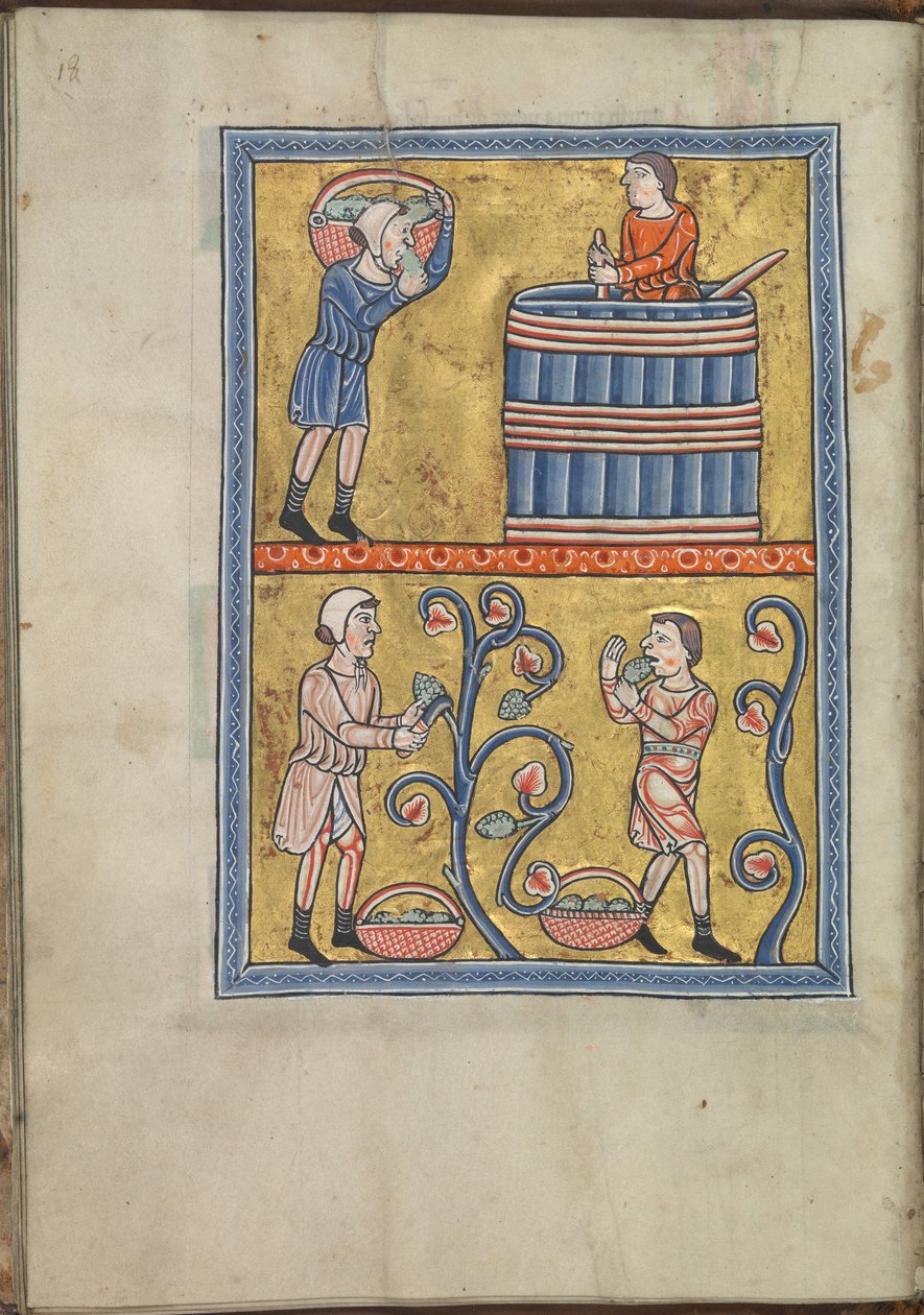 Kalenteri, syyskuu, miehet poimivat ja polkevat viinirypäleitä - Akvitanian Eleanorin psalttari (n. 1185) - KB 76 F 13, folium 009v. tekijältä Unbekannt