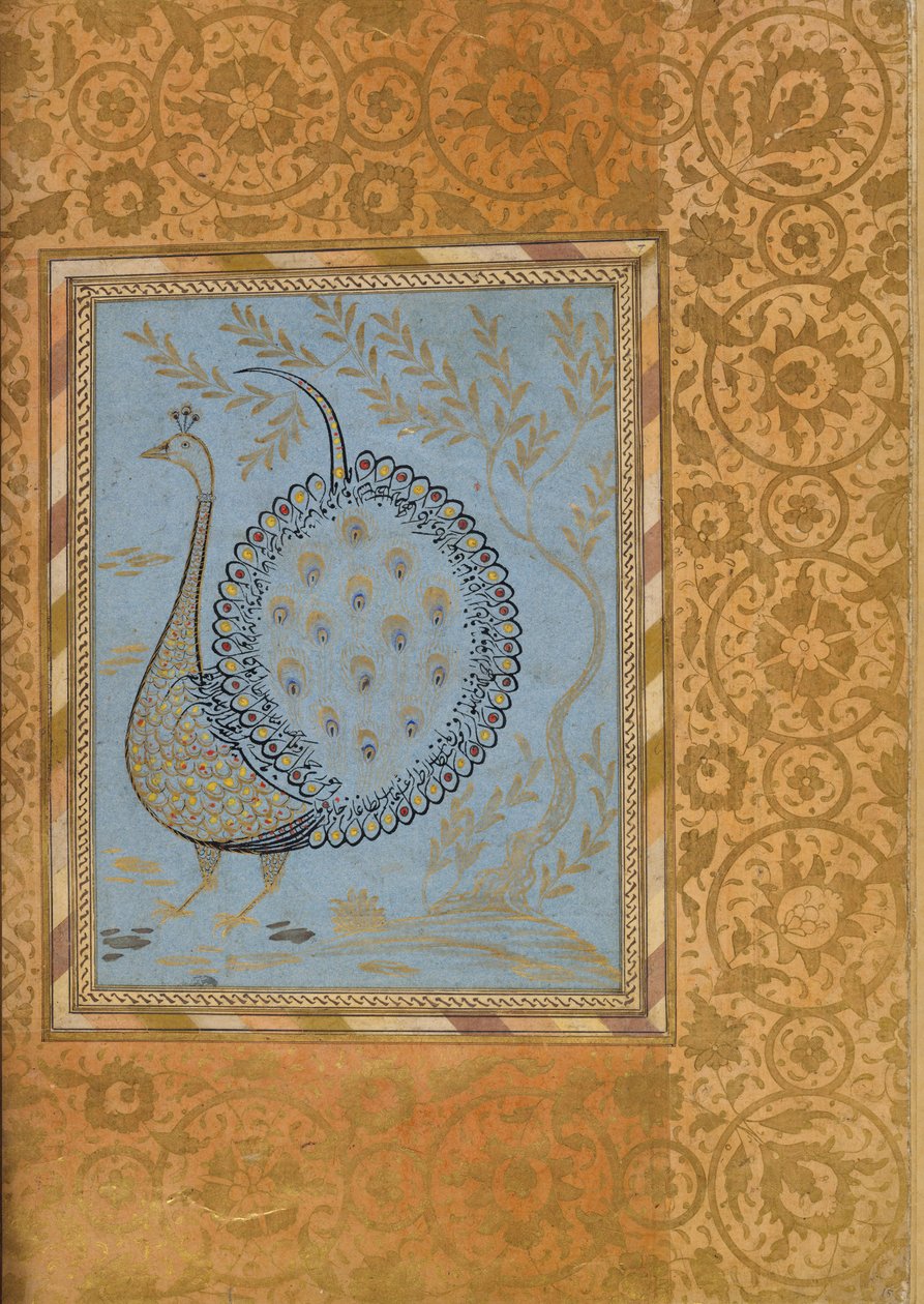 Kalligrafinen sävellys riikinkukon muodossa, Folio Bellini-albumista, n. 1600. tekijältä Unbekannt