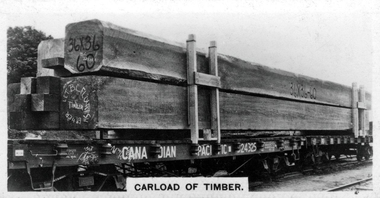 Carload of Douglas fir, Kanada, 1920-luku tekijältä Unbekannt