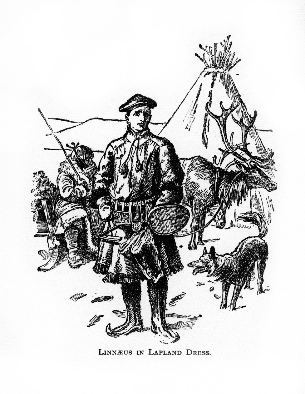 Carolus Linnaeus, 1700-luvun ruotsalainen kasvitieteilijä, lääkäri ja eläintieteilijä, 1900-luku tekijältä Unbekannt