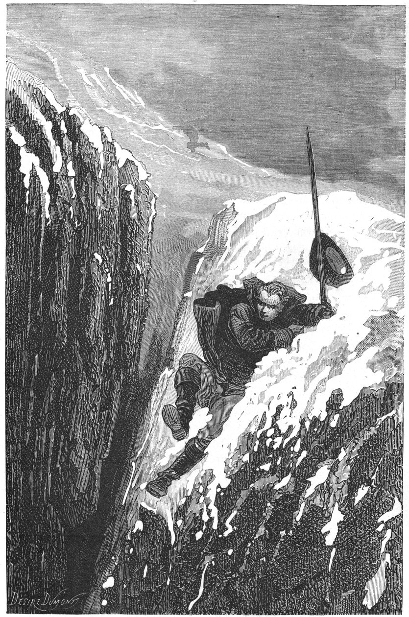 Carolus Linnaeus, 1700-luvun ruotsalainen tiedemies ja luonnontieteilijä, 1874 tekijältä Unbekannt
