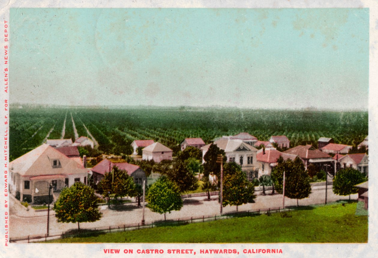 Castro Street, Hayward, Kalifornia, 1905 tekijältä Unbekannt