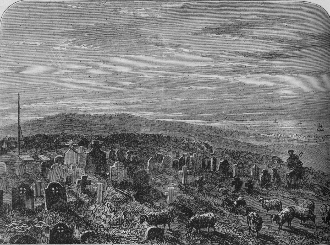 Cathcarts Hill, 1880 tekijältä Unbekannt